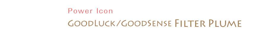 パワーアイコン　フィルター　グッドラック/グッドセンス
